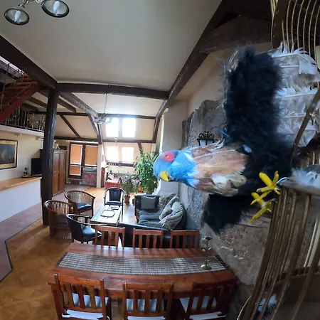 Downtown 布拉迪斯拉发